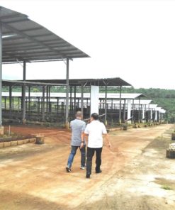 Một dự án điện mặt trời ở huyện Ia Grai, tỉnh Gia Lai. Ảnh T.T