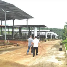 Công ty TNHH Quỳnh An Solar - Lắp đặt điện mặt trời Nha Trang Khánh Hoà 37 Một dự án điện mặt trời ở huyện Ia Grai, tỉnh Gia Lai. Ảnh T.T