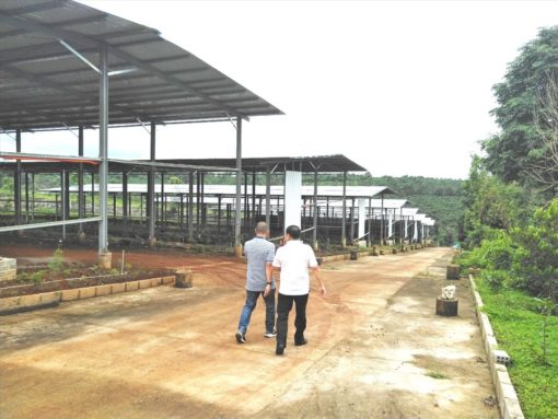 Một dự án điện mặt trời ở huyện Ia Grai, tỉnh Gia Lai. Ảnh T.T